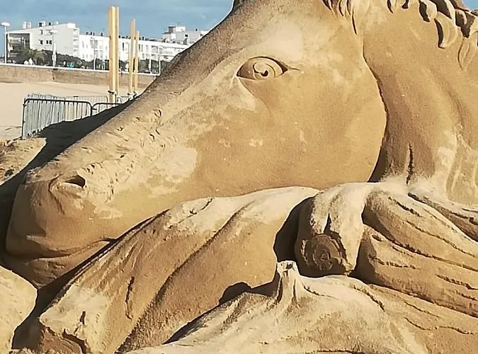 Les Sables D'or Appartamento *